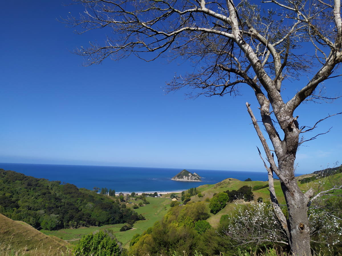 View en route to TMGT geocache Anaura Bay Gardens