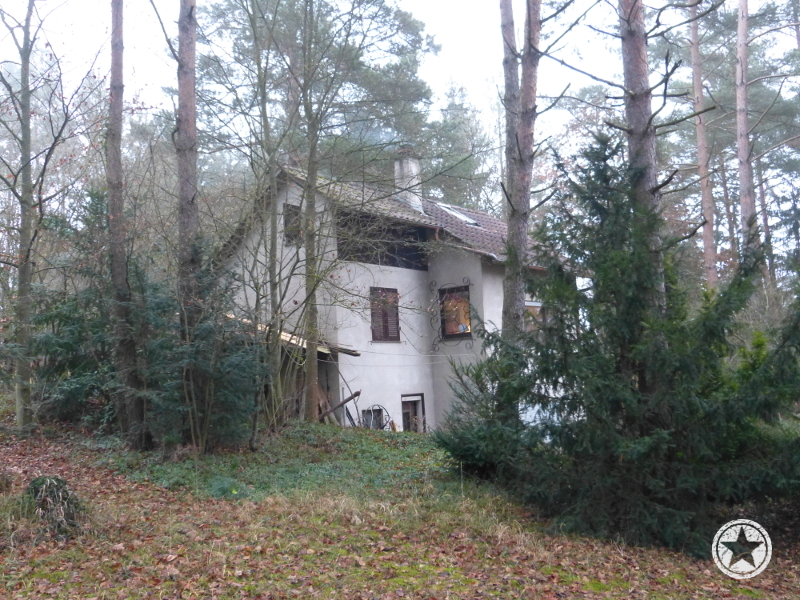 Our miracle home in the woods